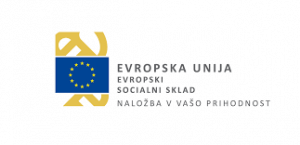 Evropska unija. Evropski socialni sklad.