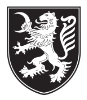 Logotip i feel slovenia